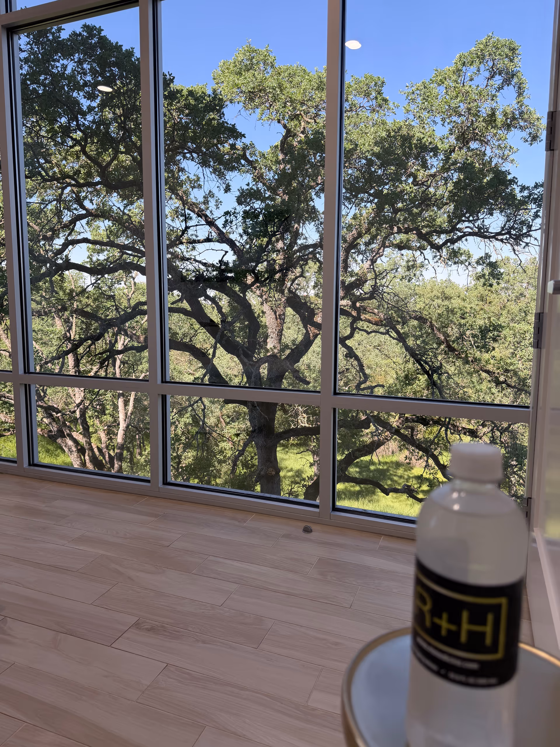 Bright interior with large windows showing a leafy tree view and a water bottle in foreground.