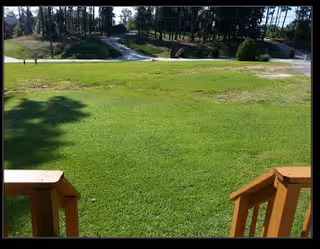 View from wooden steps down onto a large grassy lawn with trees and a road in the background.