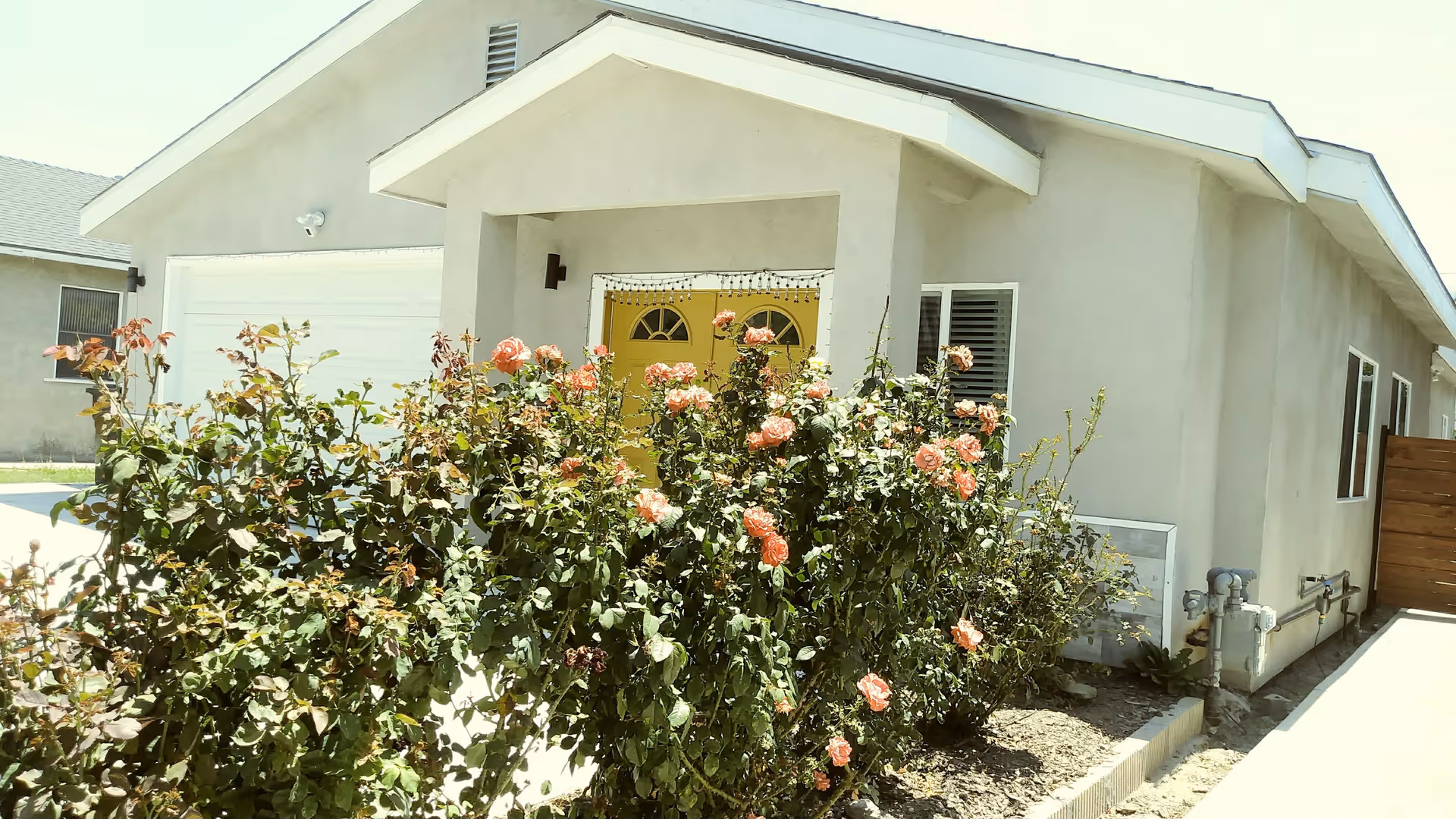 Single-story facility exterior with pastel walls and flowering rose bushes along the entry path.