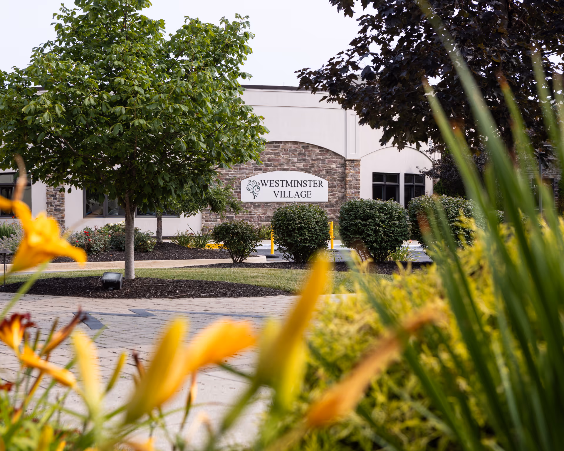 Exterior view of Westminster Village building with sign, trees, and colorful foreground flowers.