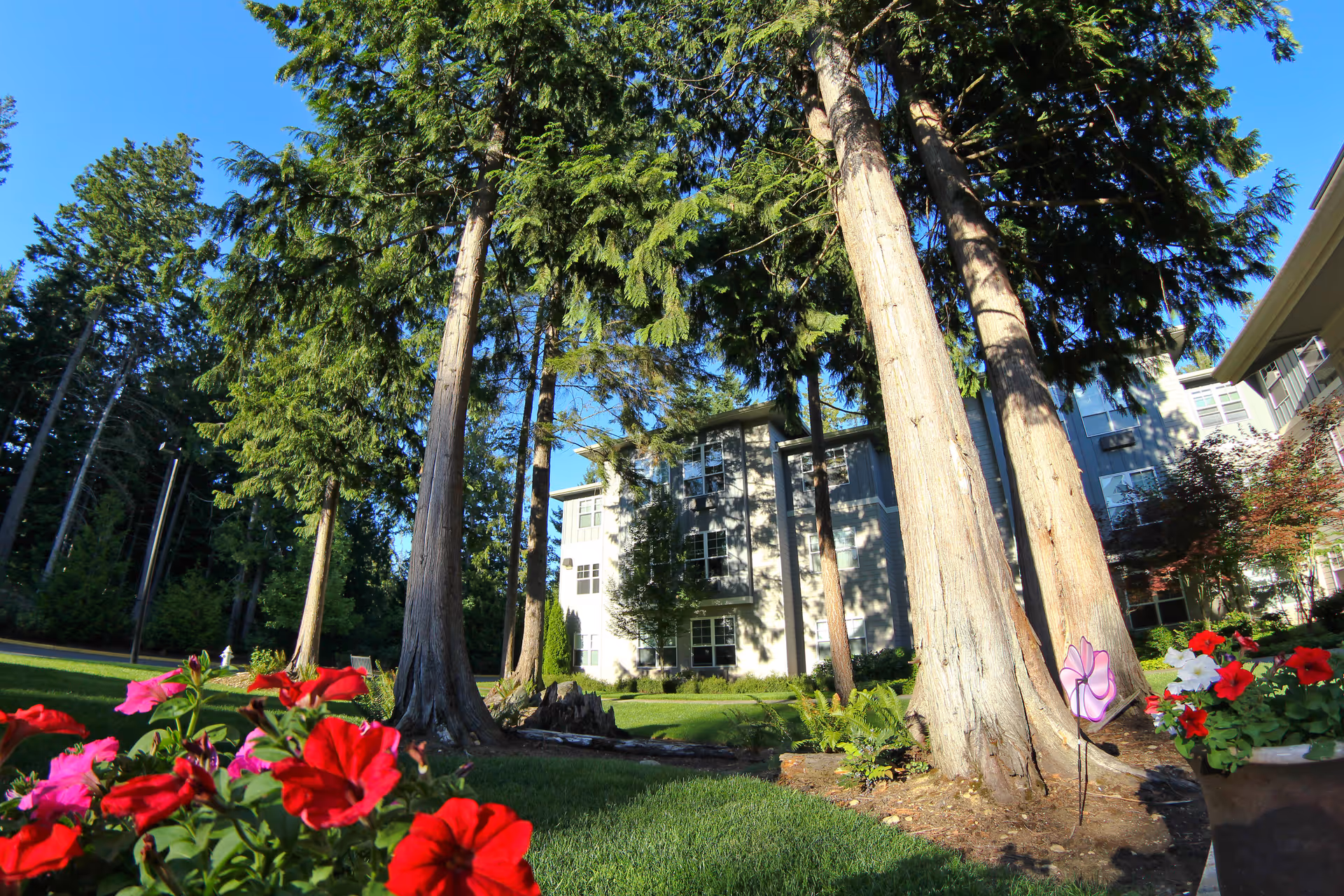 Exterior of a multi-story residential building set among tall evergreen trees with red flowers in the foreground.