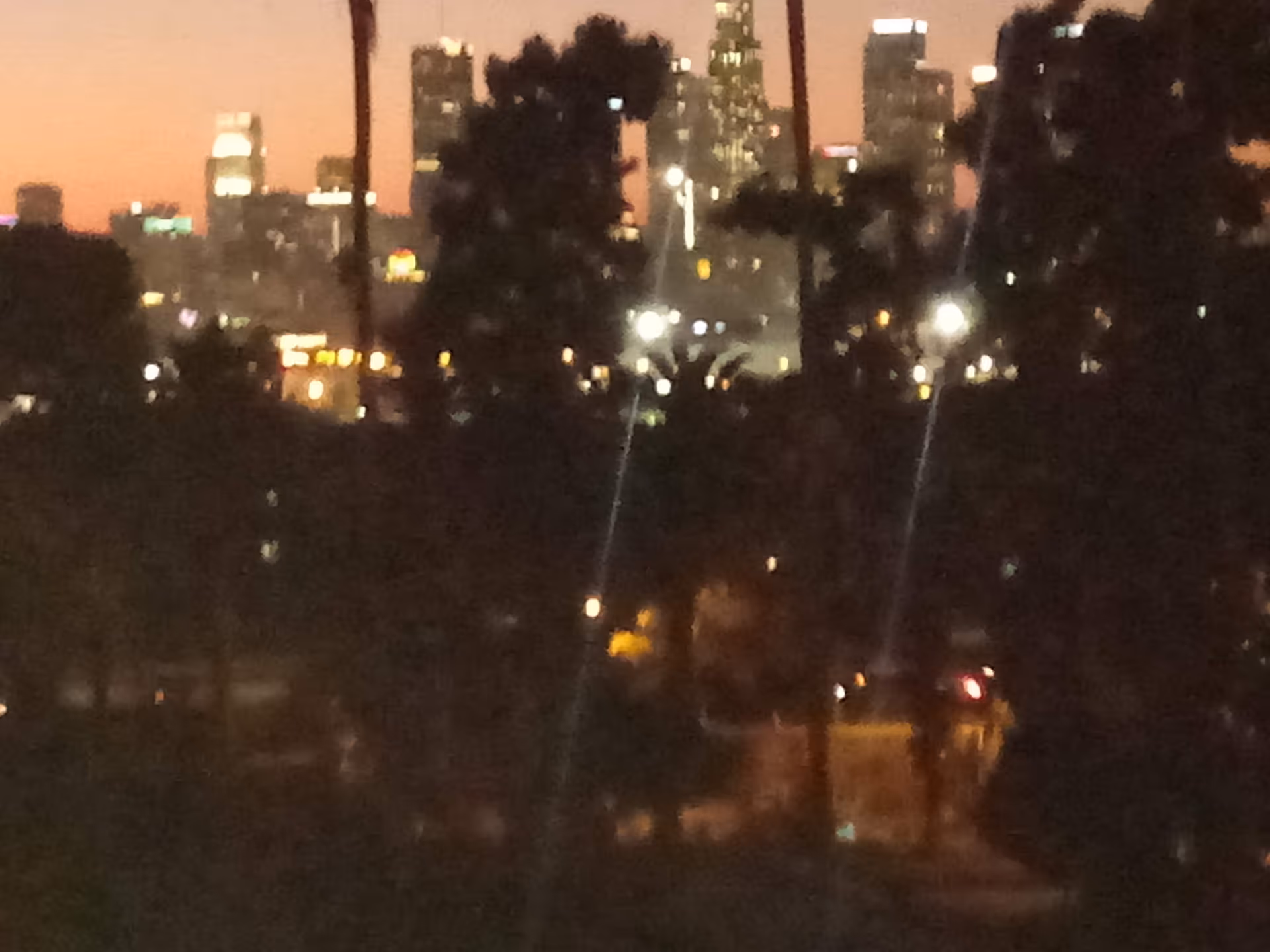 Night city skyline with palm silhouettes and reflections on water.