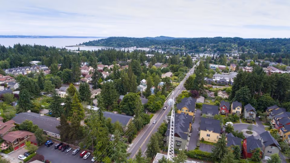 Aerial view of a tree-filled island neighborhood with houses and distant water.