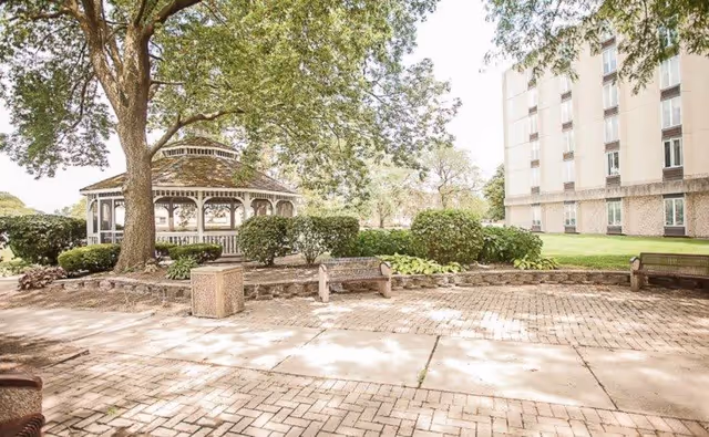 Sunny courtyard with a large tree, a gazebo, benches, and a multi-story senior living building in the background.
