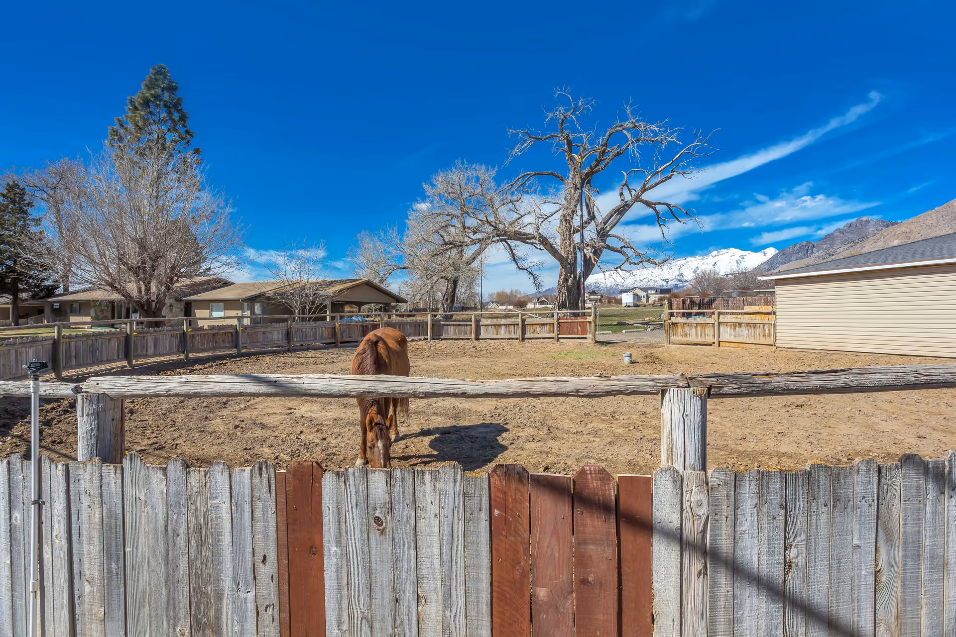 A fenced outdoor area with a brown horse standing inside. The fence is made of wooden planks and logs. In the background, there are leafless trees, a few houses, and snow-capped mountains under a clear blue sky.