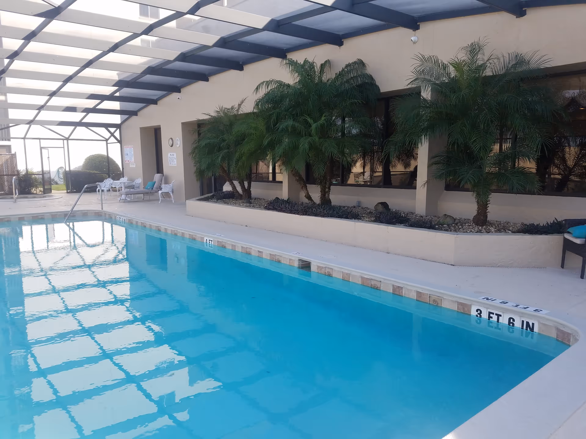 Indoor swimming pool with clear blue water, surrounded by a concrete deck. There are several palm plants in a raised planter along the wall, and lounge chairs with cushions are placed near the pool. The area is covered by a transparent roof structure allowing natural light to enter.