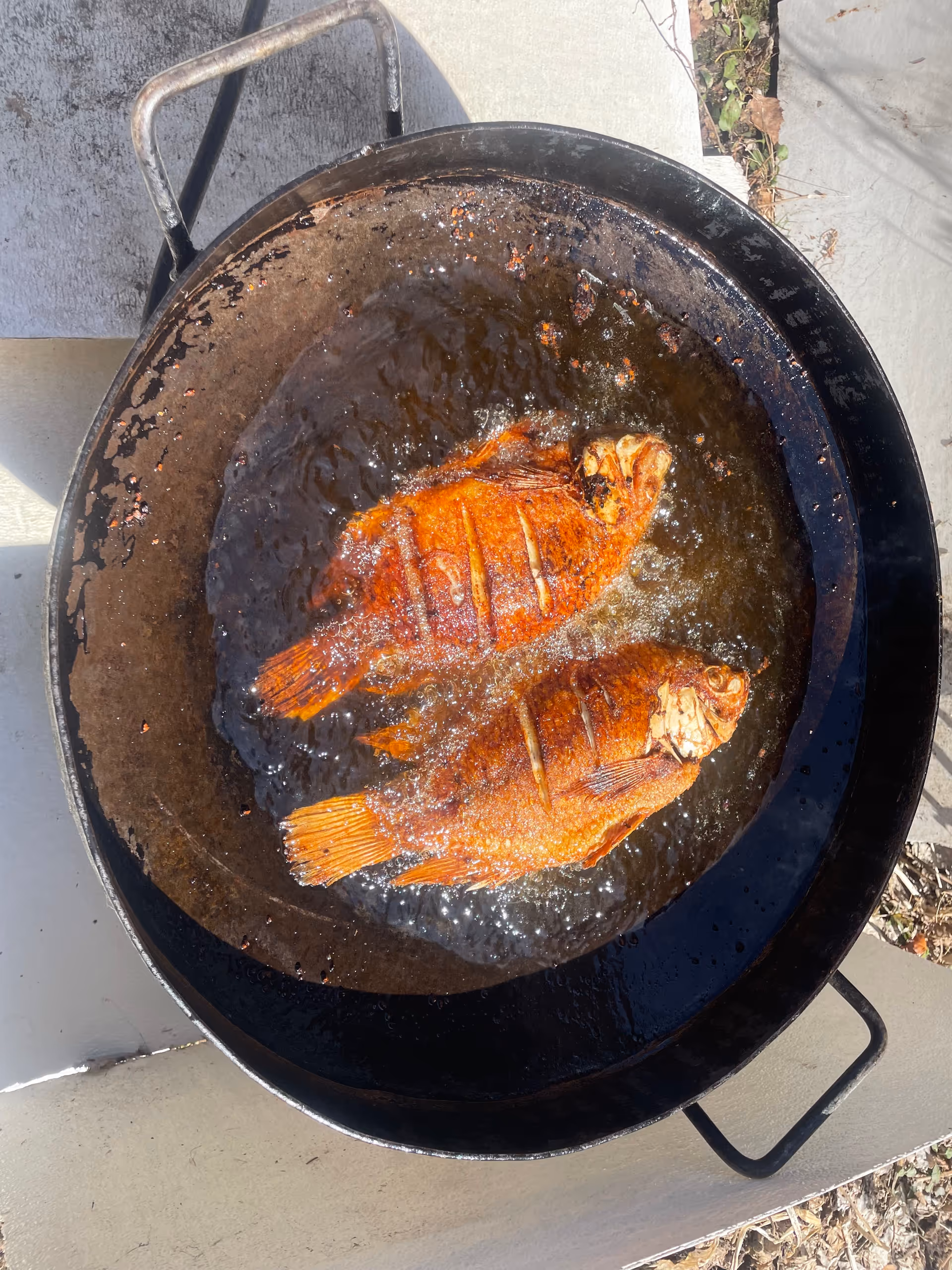 Two fried fish cooking in a large black pan outdoors on a table.