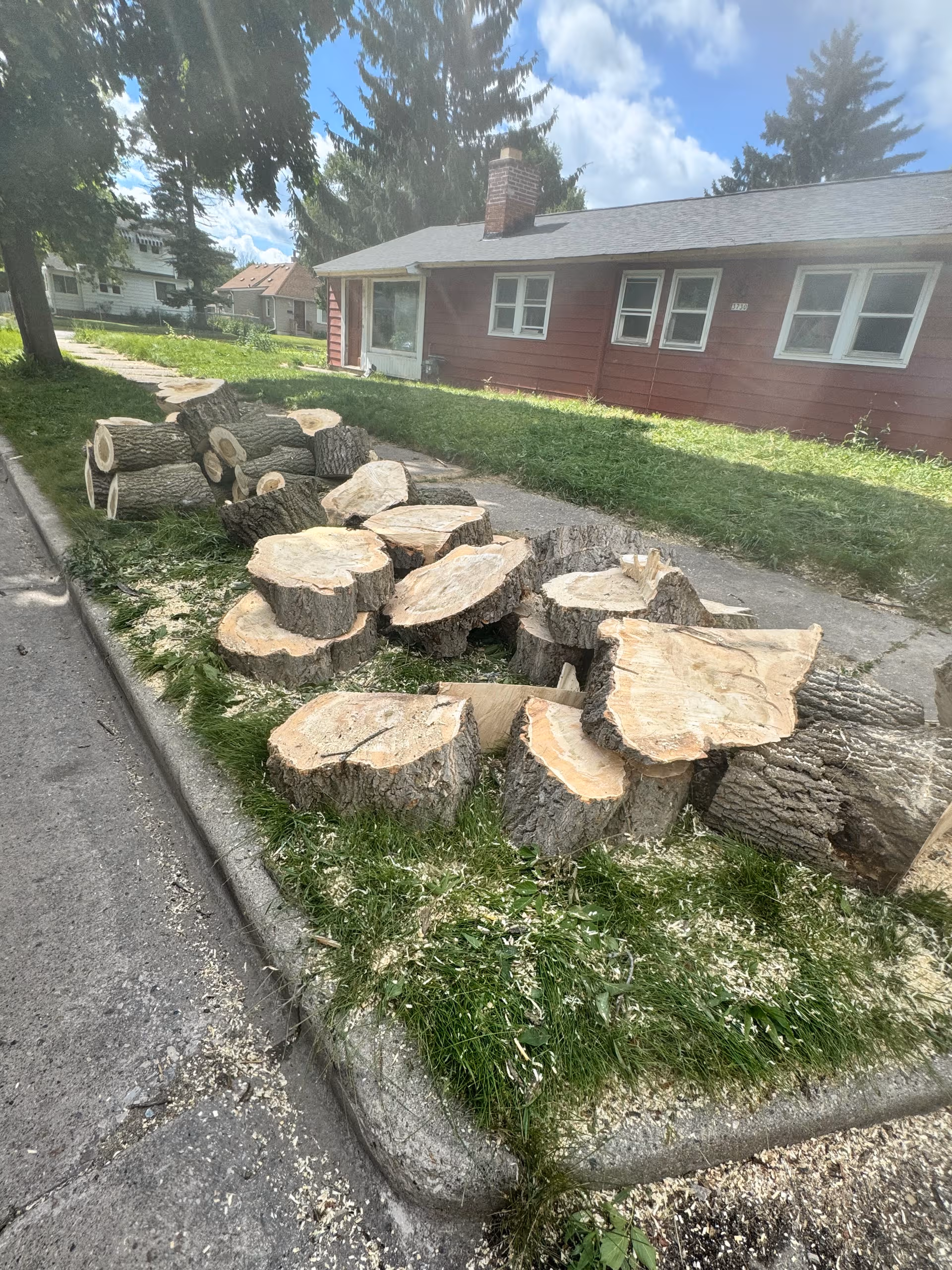Pile of cut logs along sidewalk in front of a red assisted living home.