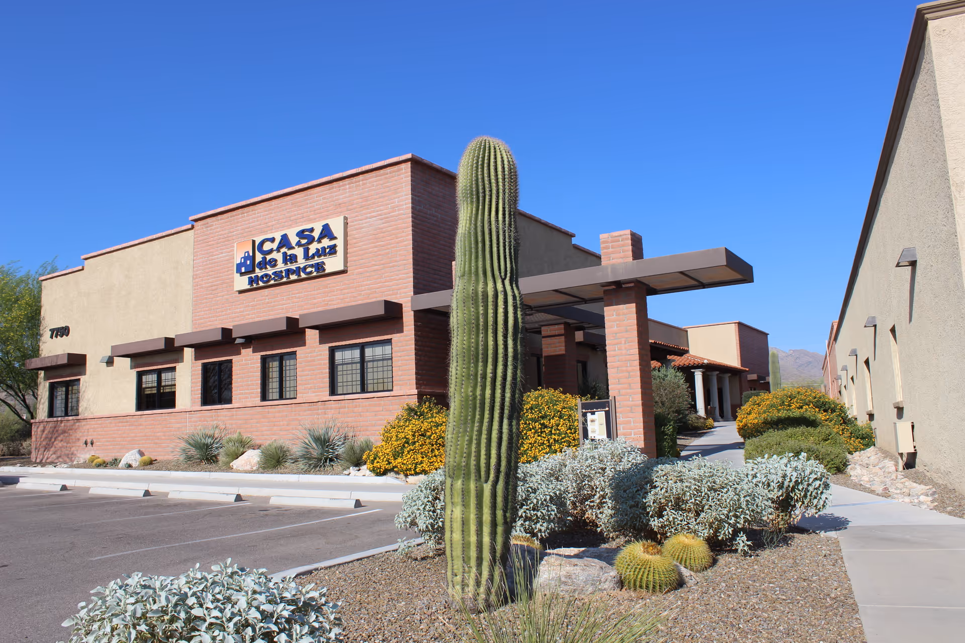 Casa de la Luz Hospice building with desert landscaping and tall front cactus.