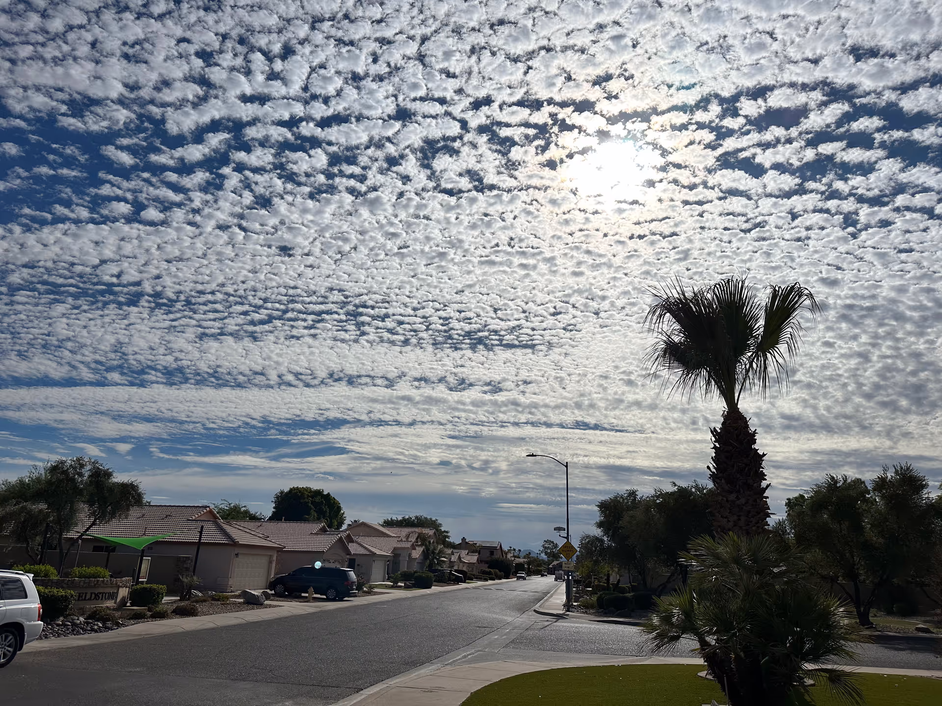 A quiet residential street with single-family homes, palm trees, and a cloudy sky overhead.