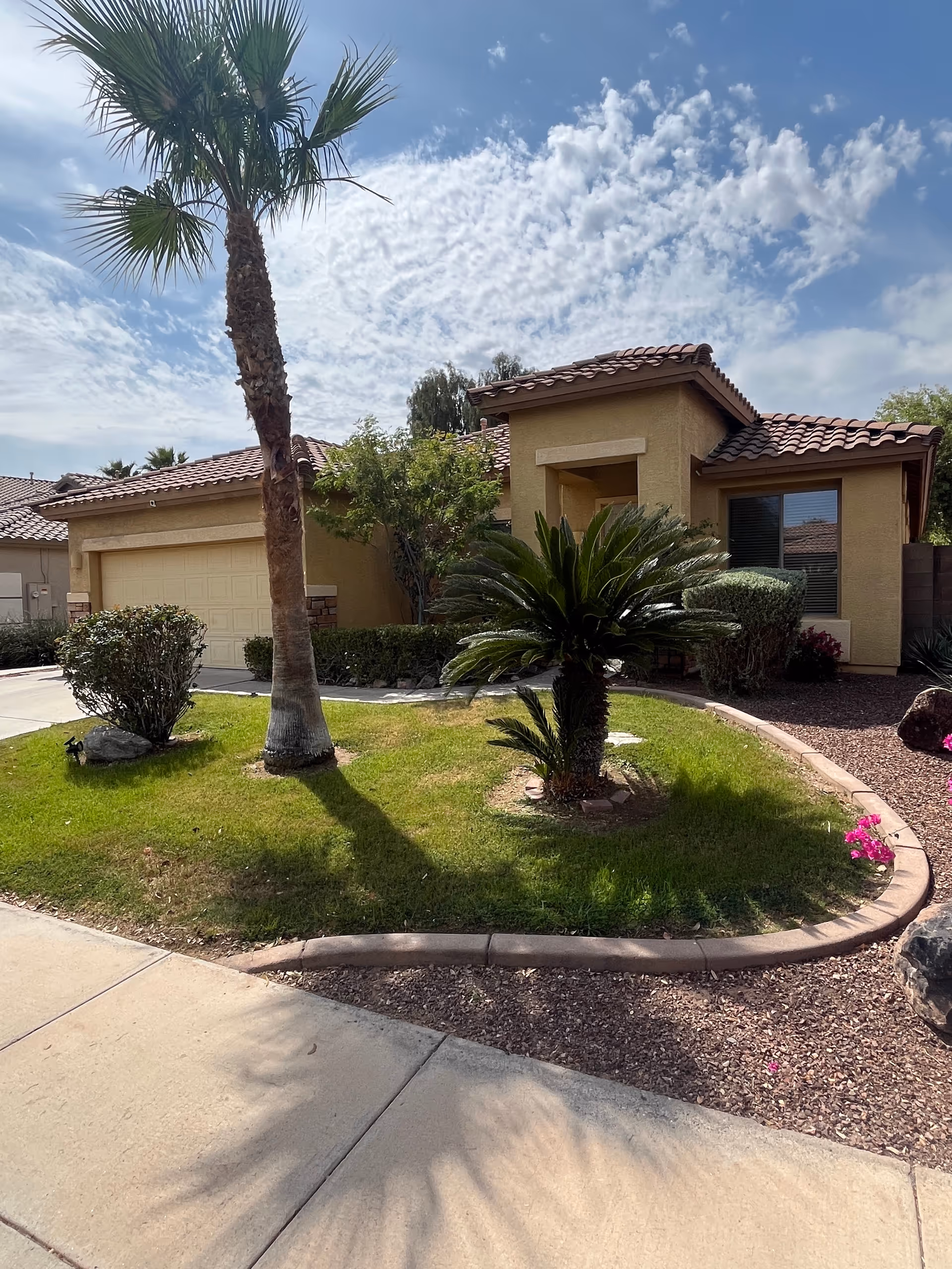 Front view of a beige, single-story building with palm trees and landscaped yard.