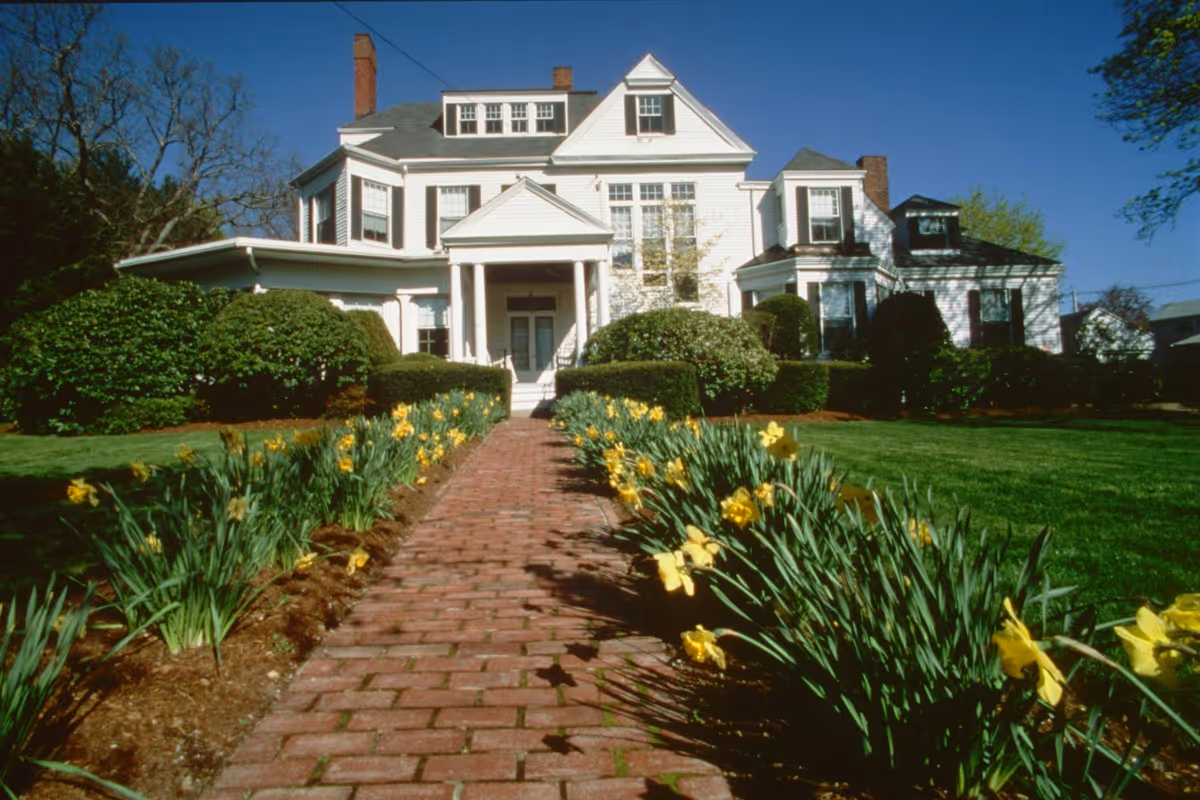 Brick path lined with yellow daffodils leading to the front entrance of a large white multi-story house.