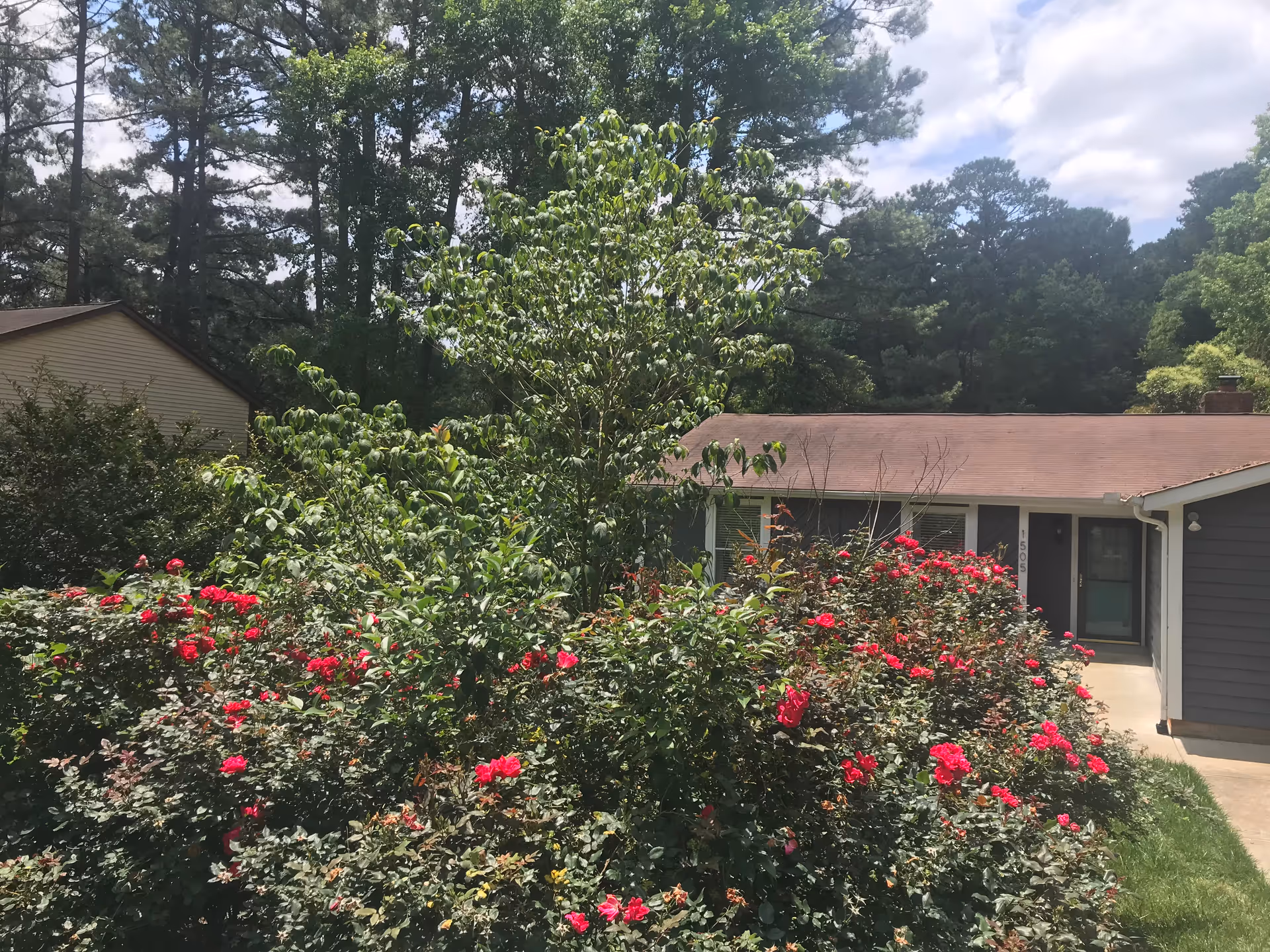 Exterior view of Lakepark Family Care Home with blooming rose bushes and entrance.
