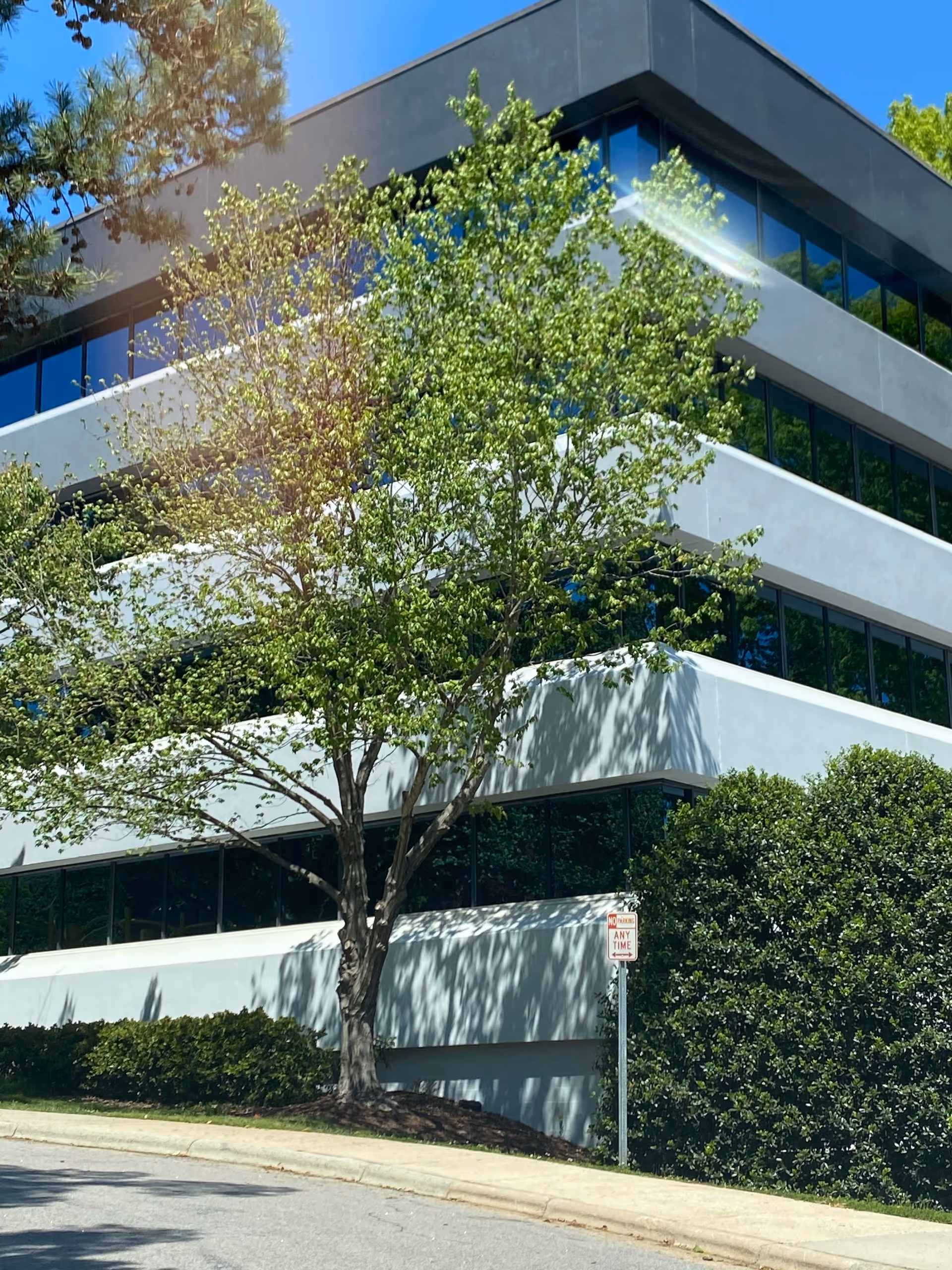 Exterior view of a modern building with large windows, trees, and manicured shrubs.