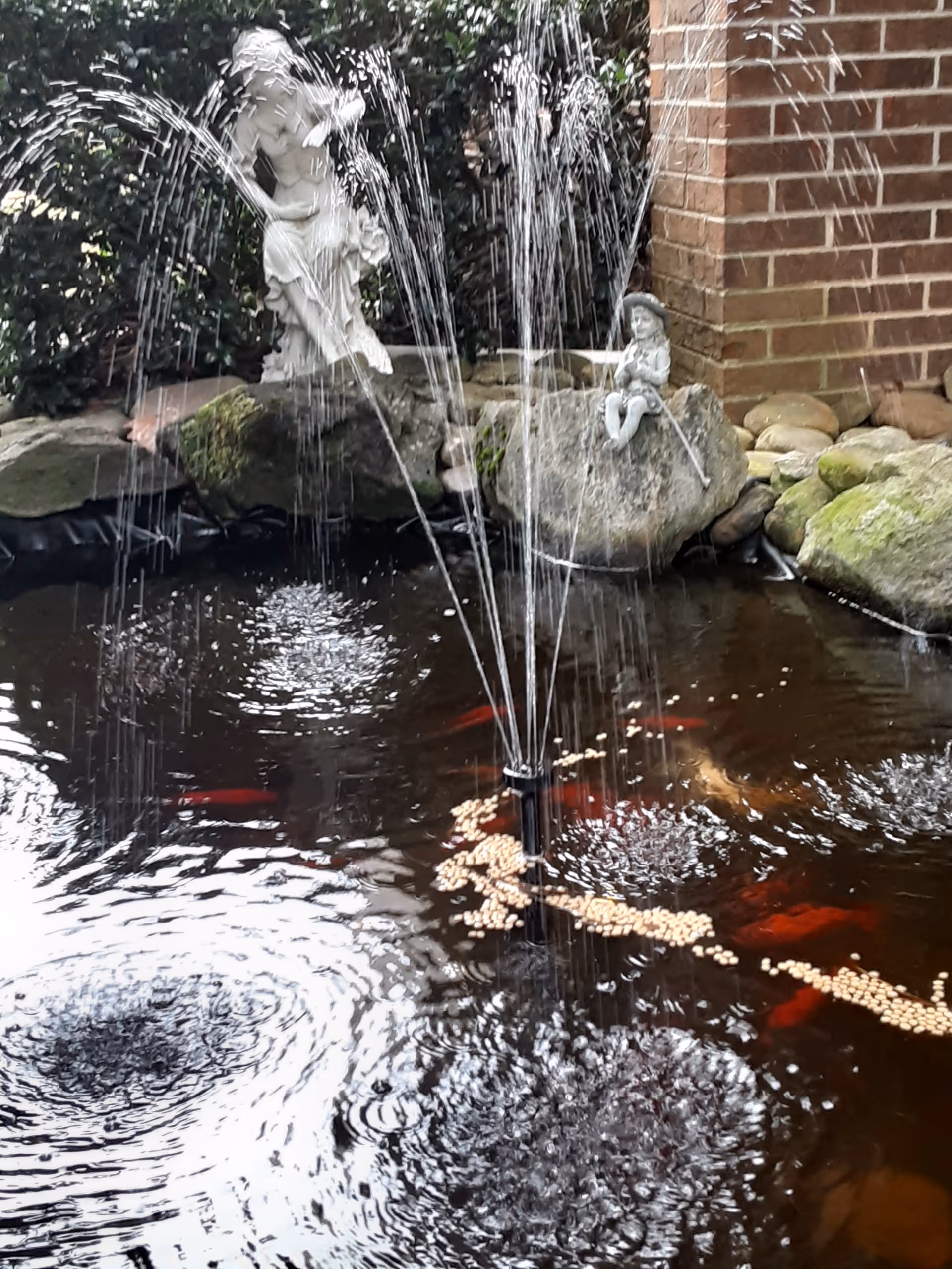 Outdoor pond with fountain, koi fish, statues, rocks, and brick wall backdrop
