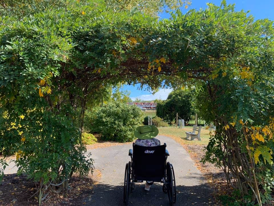A person in a wheelchair wearing a green hat is seen from behind, moving along a paved path under a leafy green archway in a garden or park area with benches and trees on a sunny day.