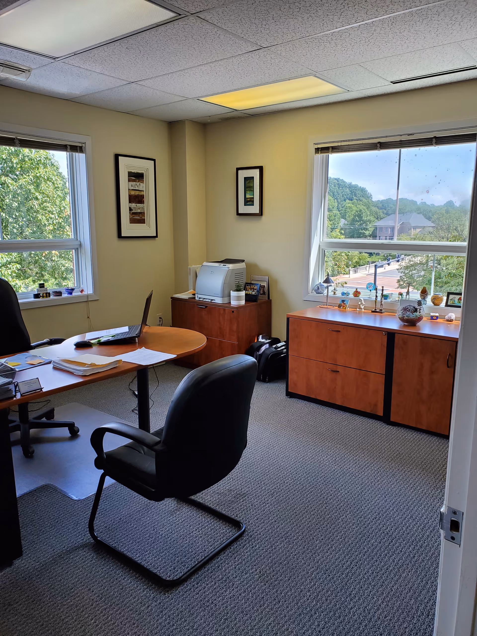 Office workspace with desk, chair, printer, and cabinets by two bright windows.