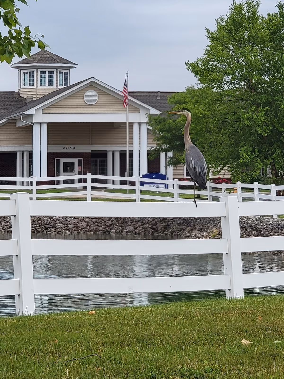 A large bird, possibly a heron, perched on a white fence near a pond with a senior living facility building in the background. The building has beige siding, white columns, an American flag, and a cupola on the roof. There is green grass and trees around the pond.