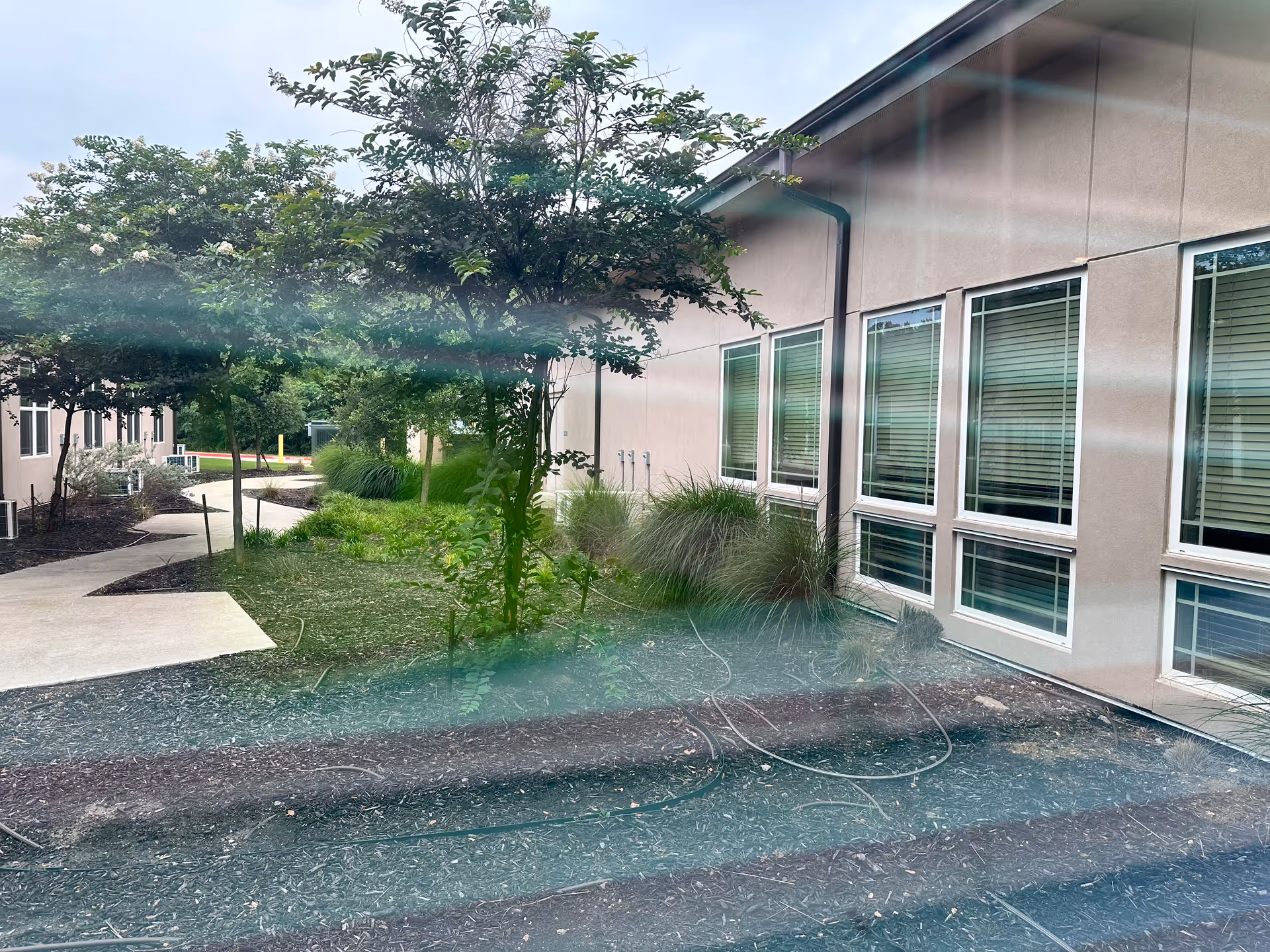 Exterior view of Methodist Transitional Care Center with trees, shrubs, and windows along the building.