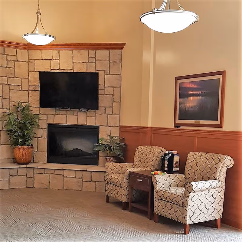 Cozy seating area with two patterned armchairs and a small side table in front of a stone fireplace with a mounted TV and potted plants.