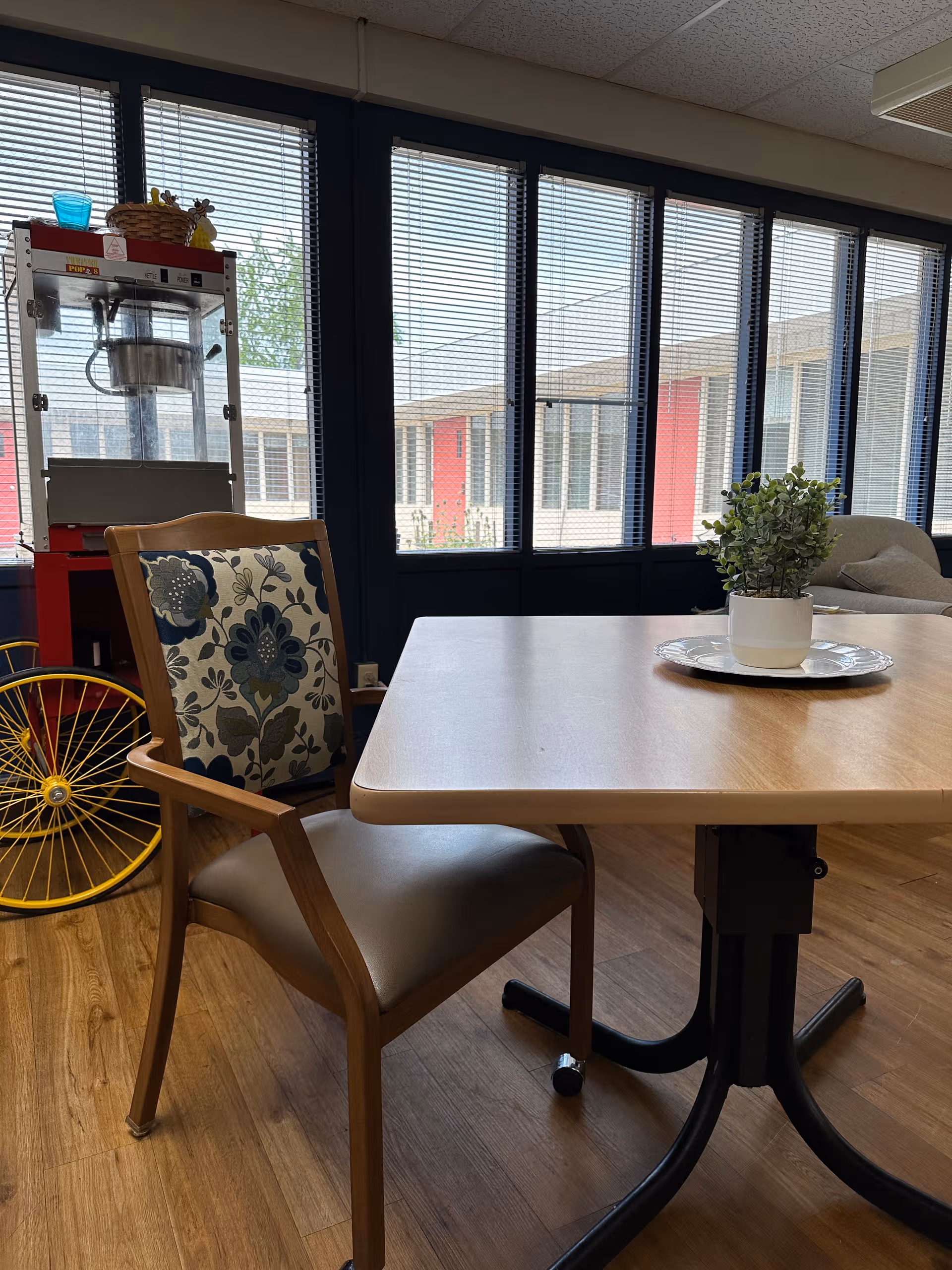 Indoor dining area with wooden table, floral chair, plant centerpiece, and large windows.