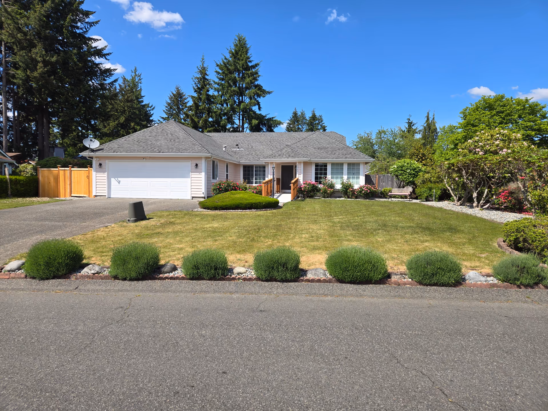 Single-story house with a large front yard, driveway, and neatly landscaped shrubs.
