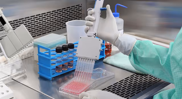 Gloved hands use a pipette over a blue rack of small vials on a stainless bench.