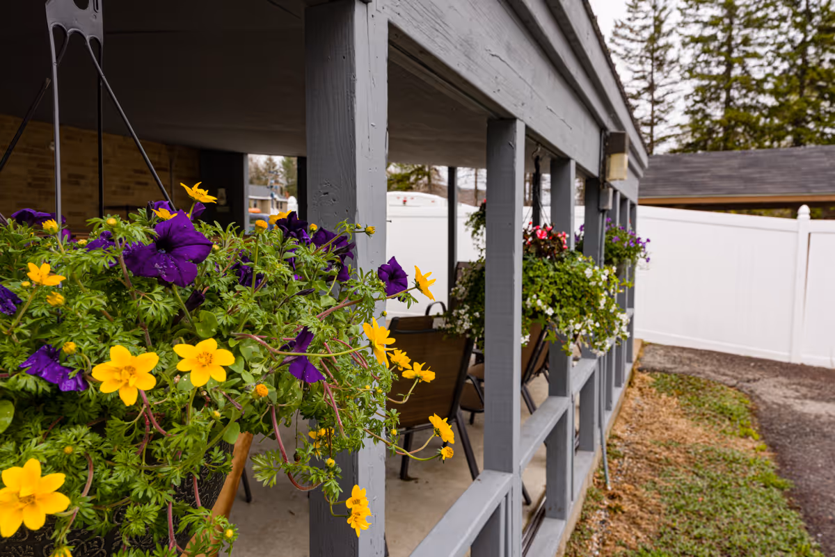 View of a covered outdoor patio area with hanging flower baskets containing purple and yellow flowers. The patio has gray wooden railings and several chairs are visible inside. In the background, there is a white fence and some trees.