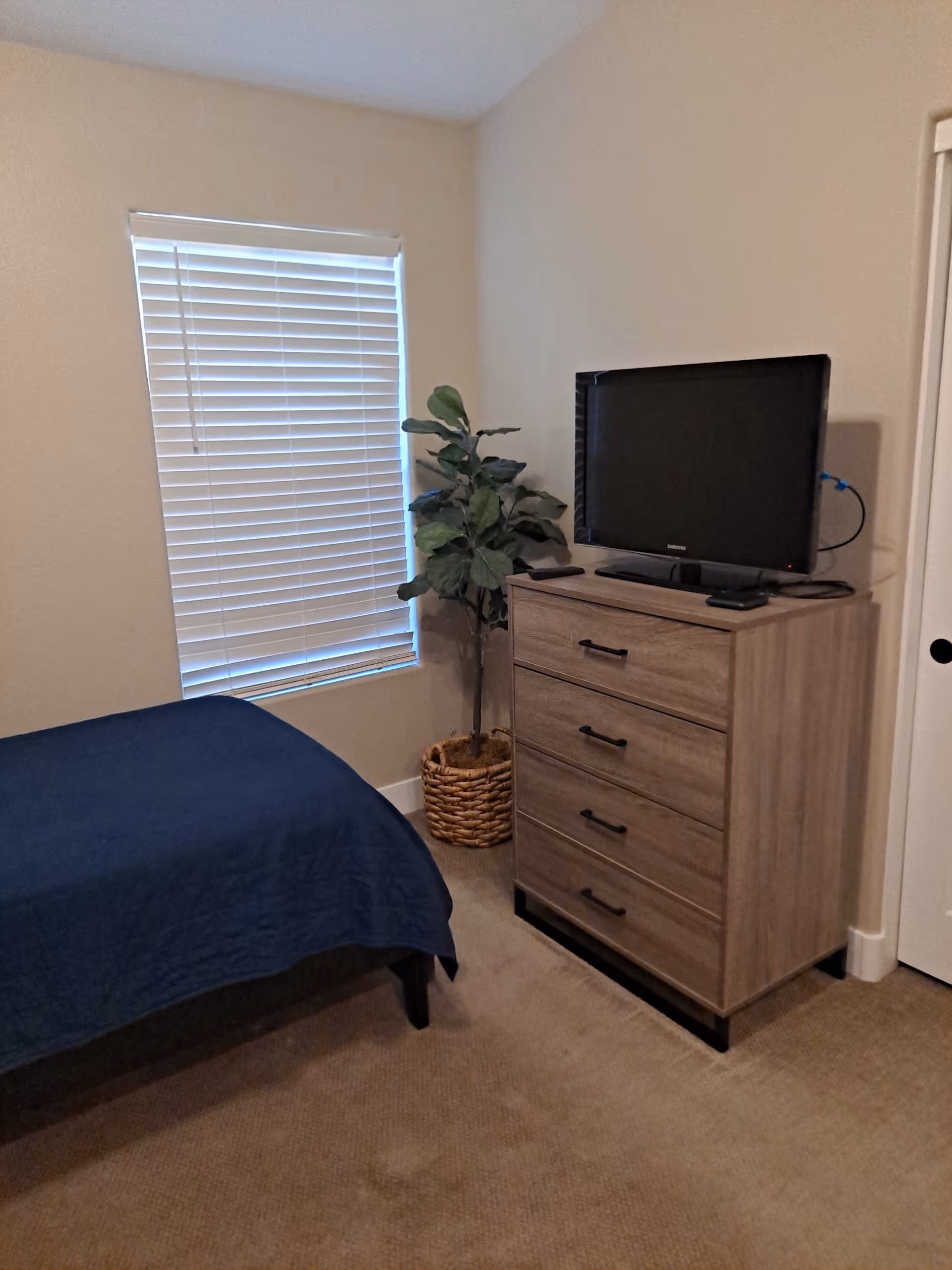 Cozy bedroom in a senior living facility with a bed, dresser, TV, and plant.