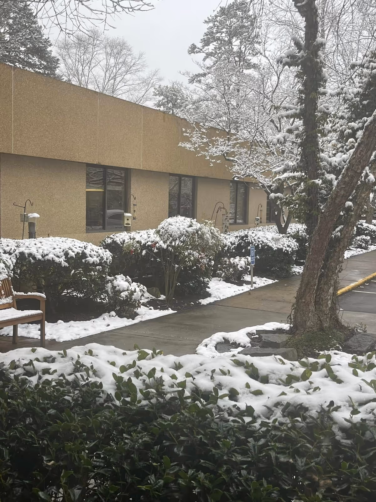 Snow-covered shrubs and sidewalk along a beige exterior building, with winter trees.