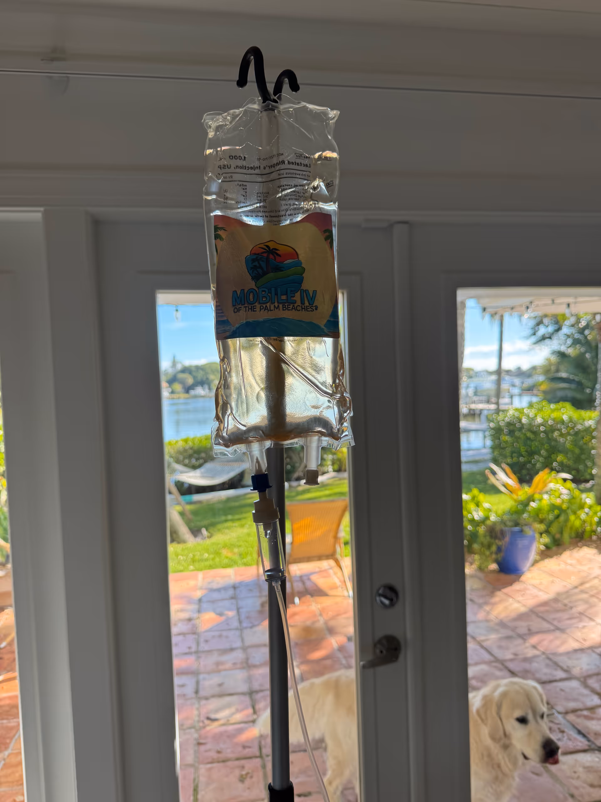 IV infusion bag on a stand inside near glass doors with sunny patio view