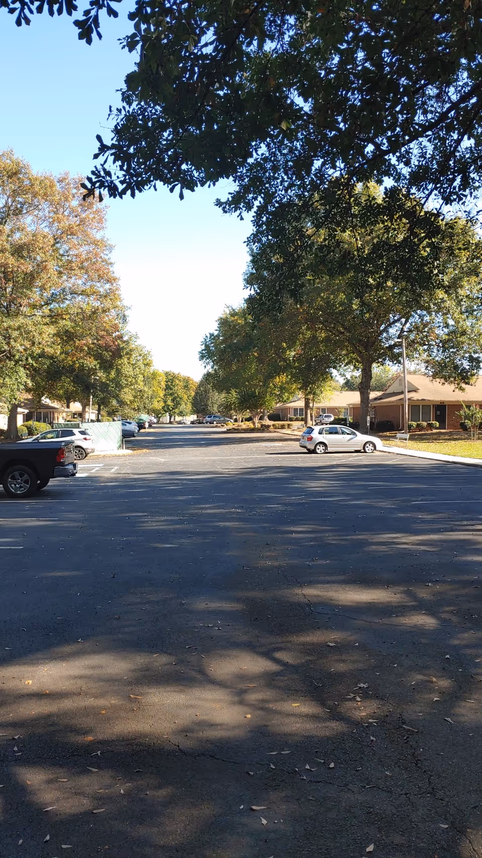 Tree-lined parking lot outside Miller Oaks Westminster Community with buildings in the distance.