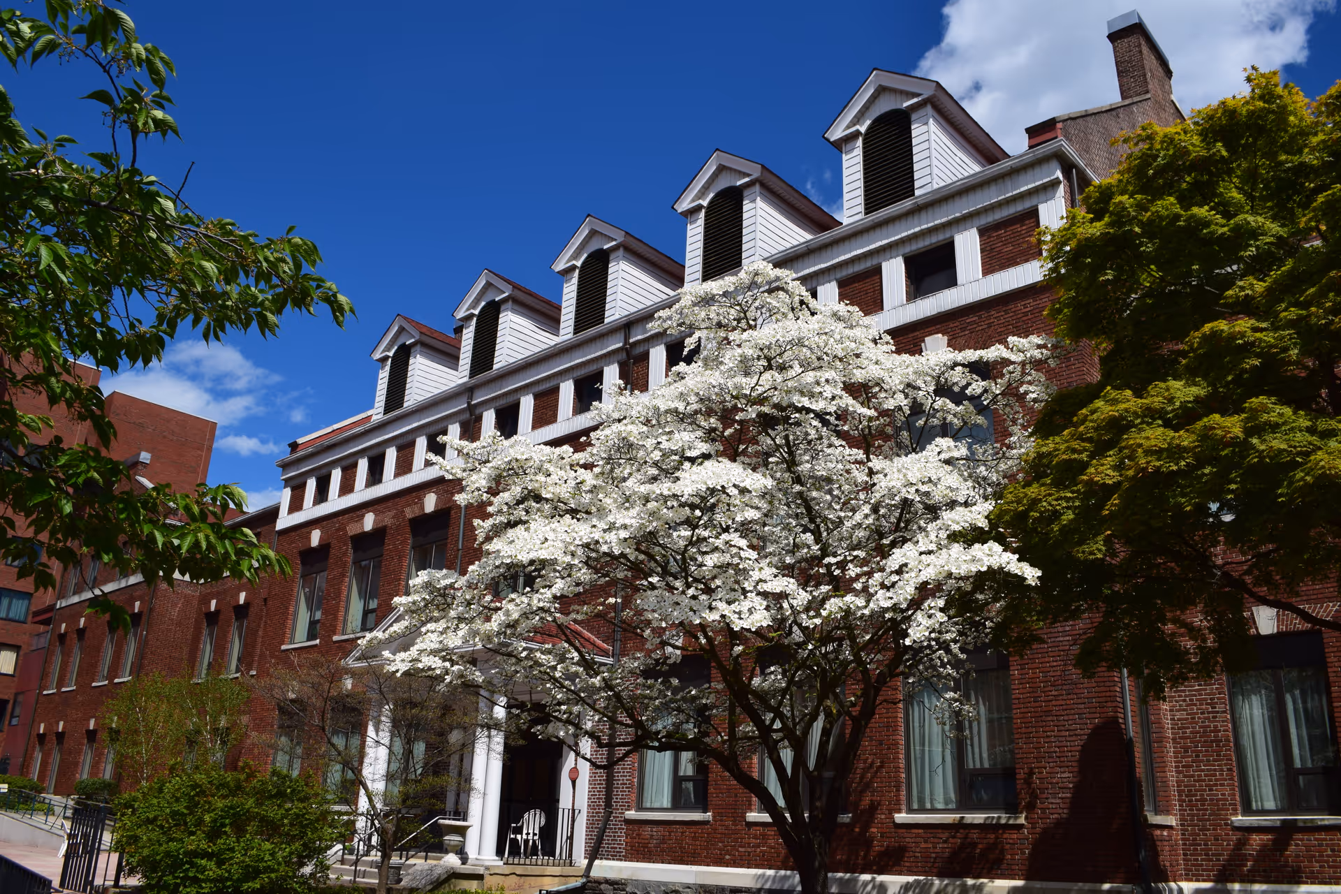 Exterior brick building of The Hebrew Home at Riverdale with blooming tree in front.