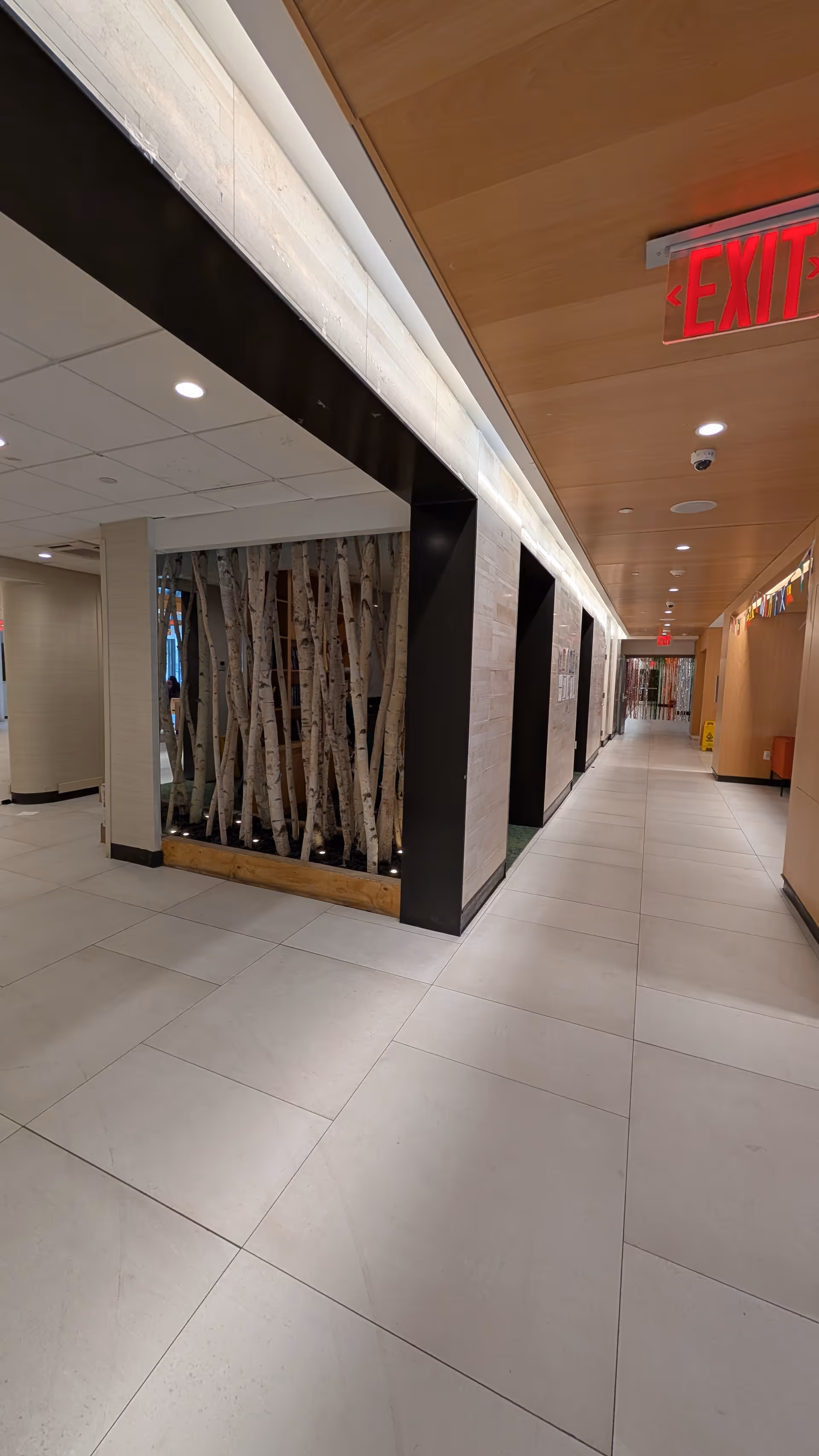Long, bright hallway with decorative birch tree wall planters and an illuminated EXIT sign.