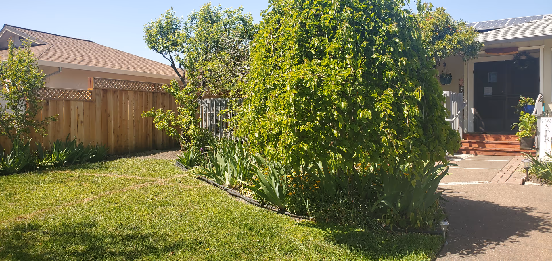 Exterior view of a care home with a garden, walkway, and front entrance.
