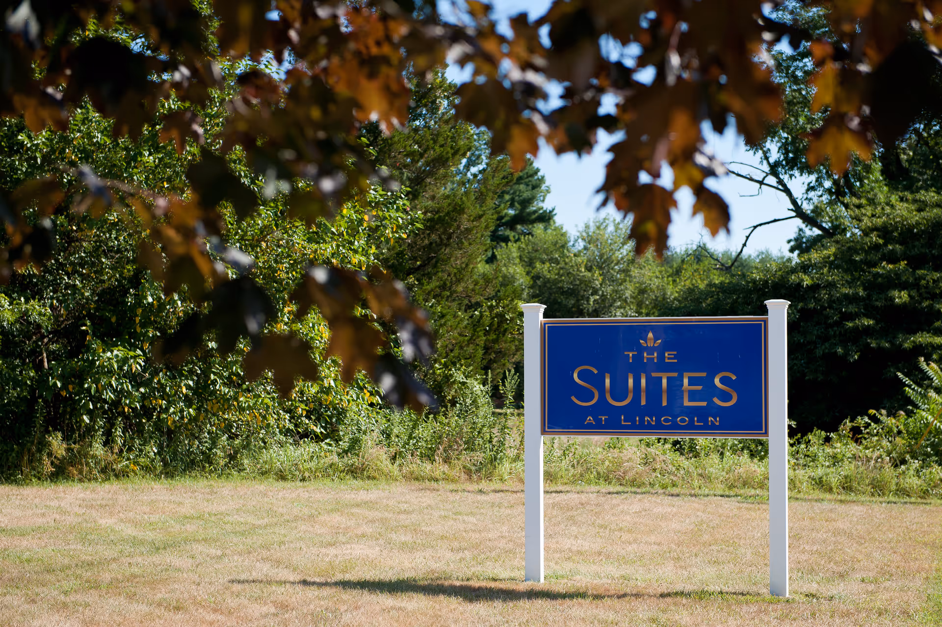 Blue sign reading The Suites at Lincoln stands on a grassy lawn with trees.