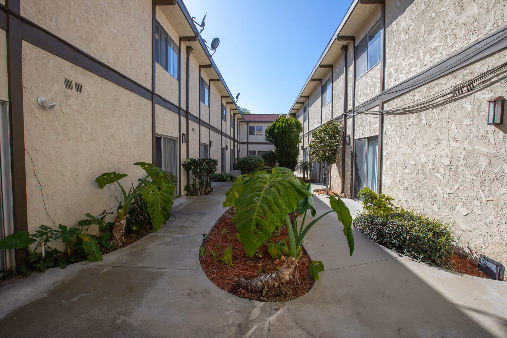 Exterior courtyard between two beige buildings with lush tropical plants