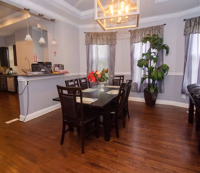 Dining room with a dark wood table and six chairs, overhead lighting, windows with curtains, and a large potted plant.