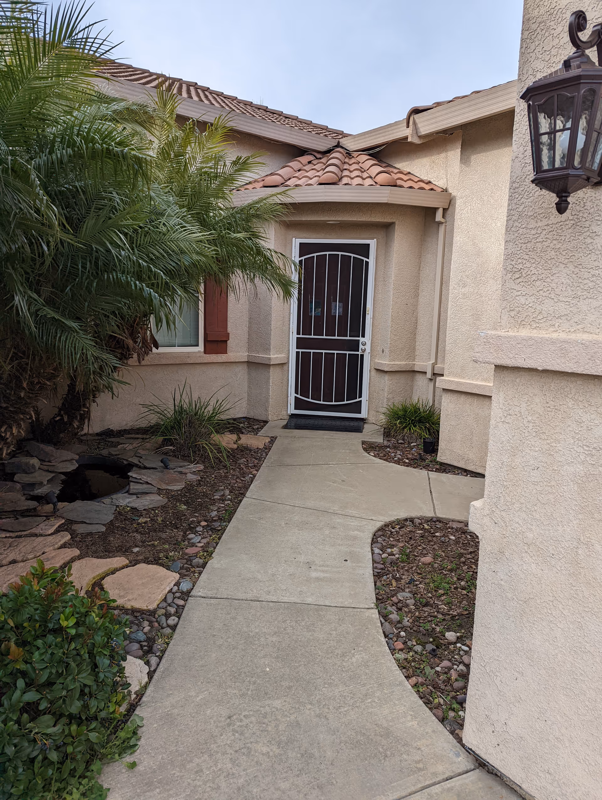 Residential entrance with curved walkway, beige stucco walls, a metal screen door, and tropical plants.