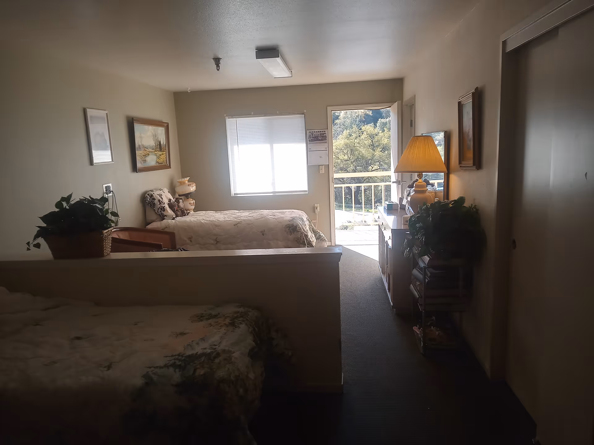 Interior view of a senior living bedroom with two beds separated by a half wall. The room has a window with blinds and a door leading to an outdoor balcony with trees visible outside. There is a dresser with a lamp and plants, and framed artwork on the walls.