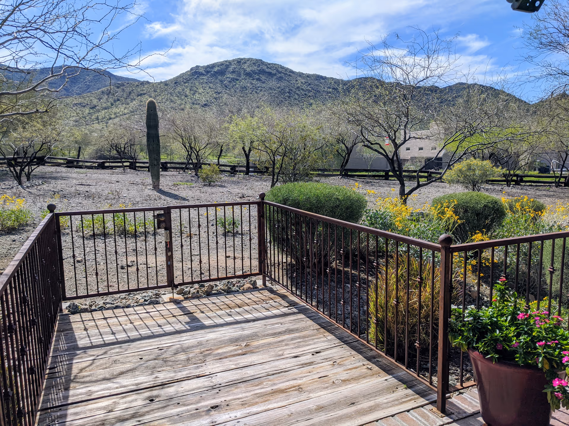 An empty wooden deck overlooks a desert landscape with cacti and mountains.