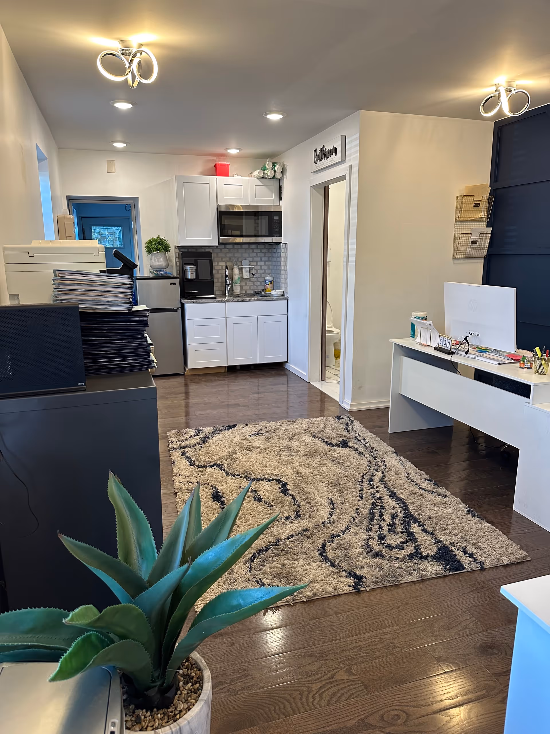 Compact, modern lounge with white kitchenette, desk, rug, and potted plant.
