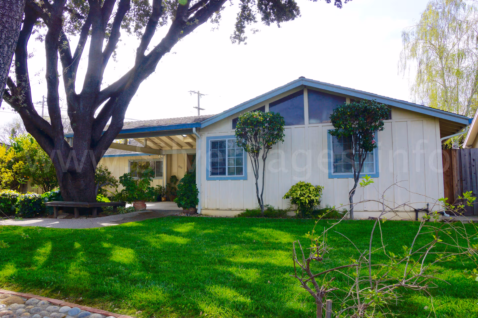 A single-story, light-colored care home exterior with a green lawn and trees.