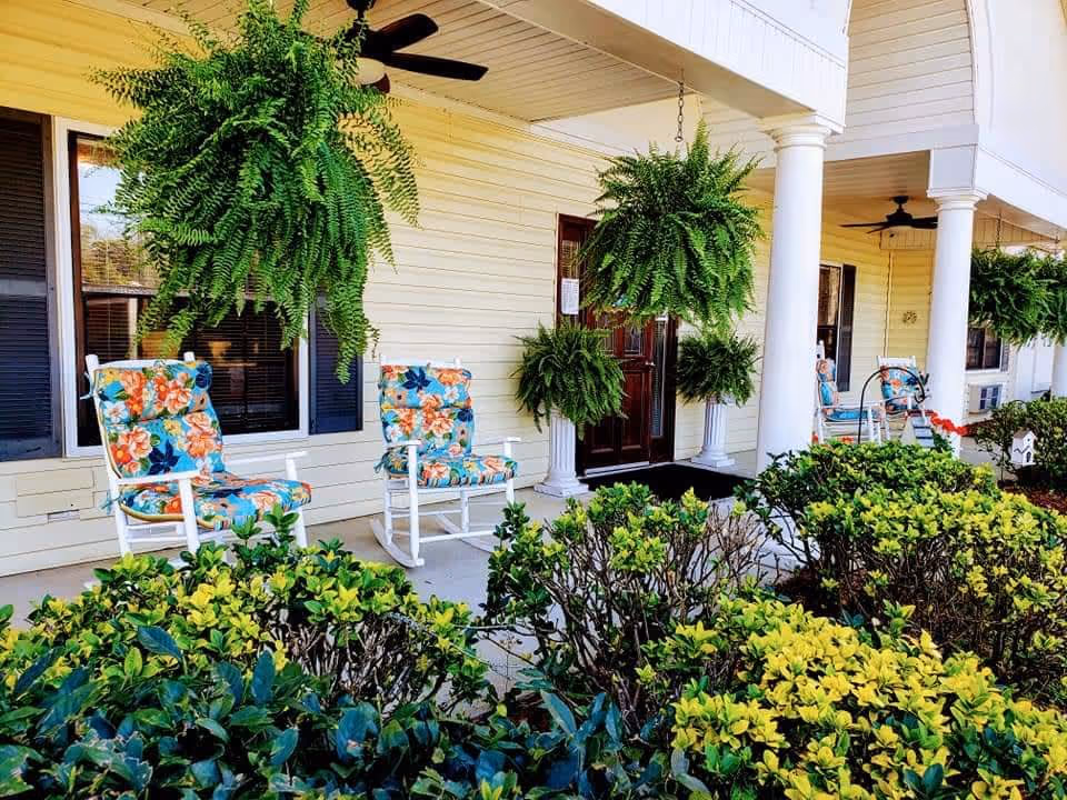 Front porch of a building with white columns and hanging green ferns. There are floral cushioned rocking chairs placed along the porch. Bushes and greenery are in the foreground.