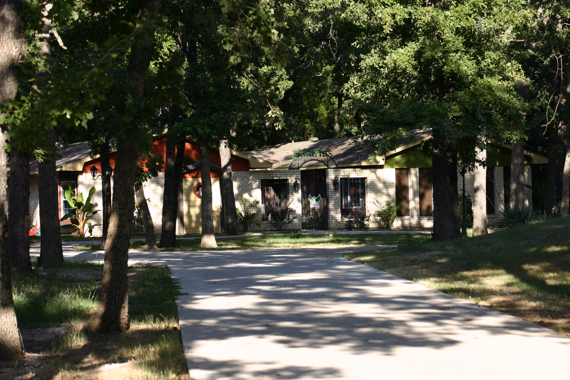 Sunlit senior living facility front entrance framed by trees along a concrete walkway.