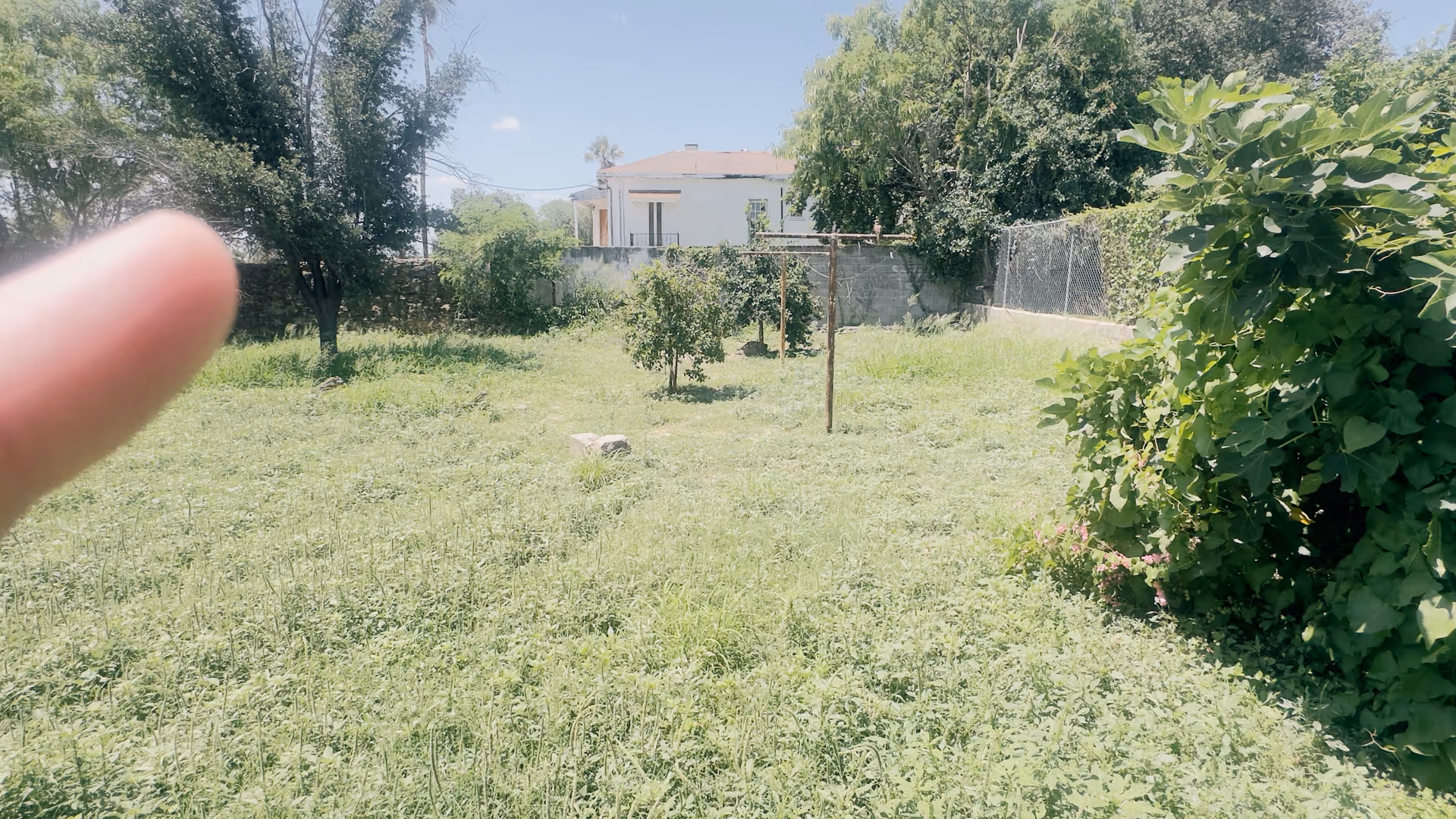 Backyard at Retama Manor Laredo South with overgrown grass, trees, a fence, and a distant house.