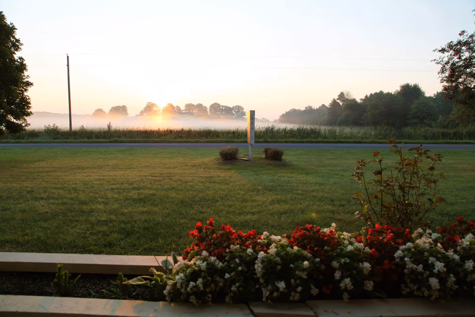 Sunrise over a misty field and lawn with blooming flowers in the foreground.