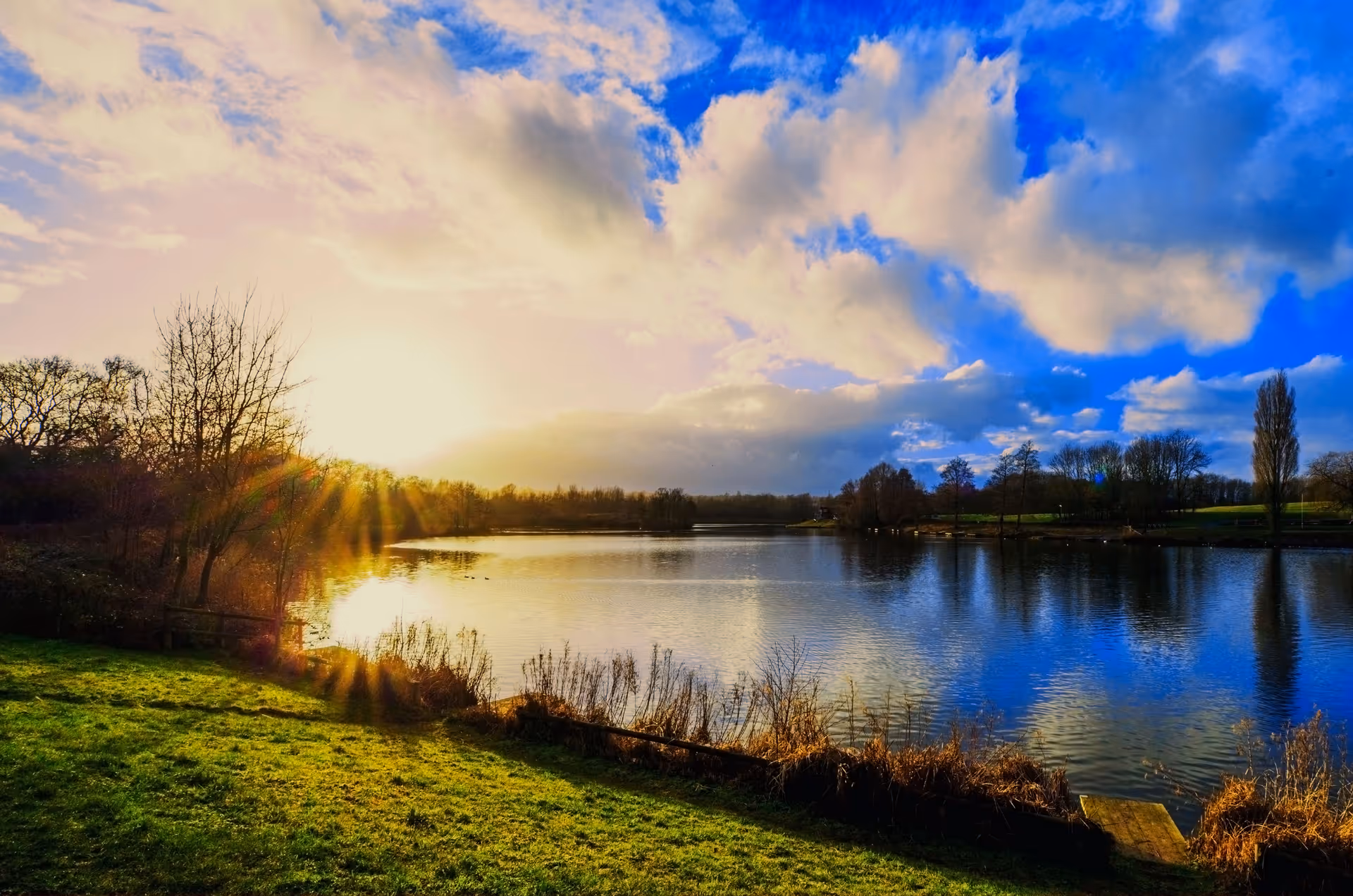 Sunlit lake scene with grassy bank, trees, and a wooden dock.
