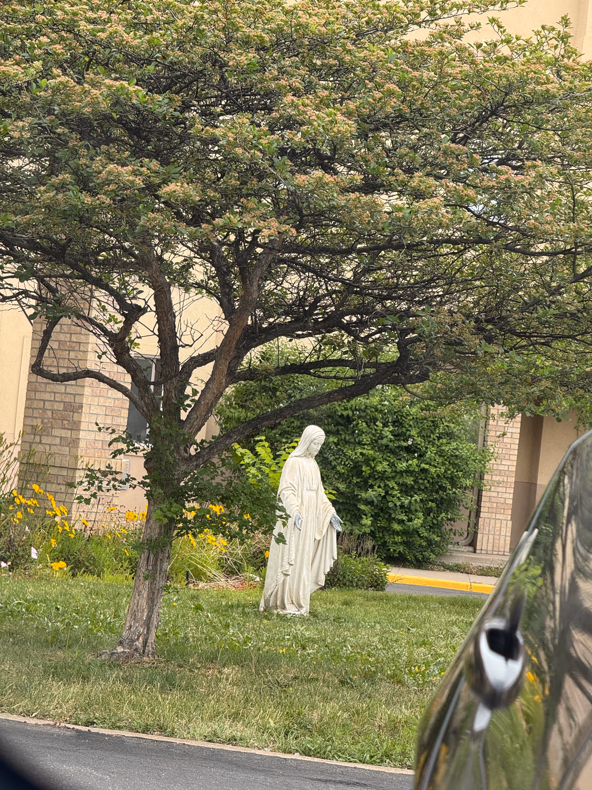 Statue of a robed figure standing on a grassy lawn beside a tree.