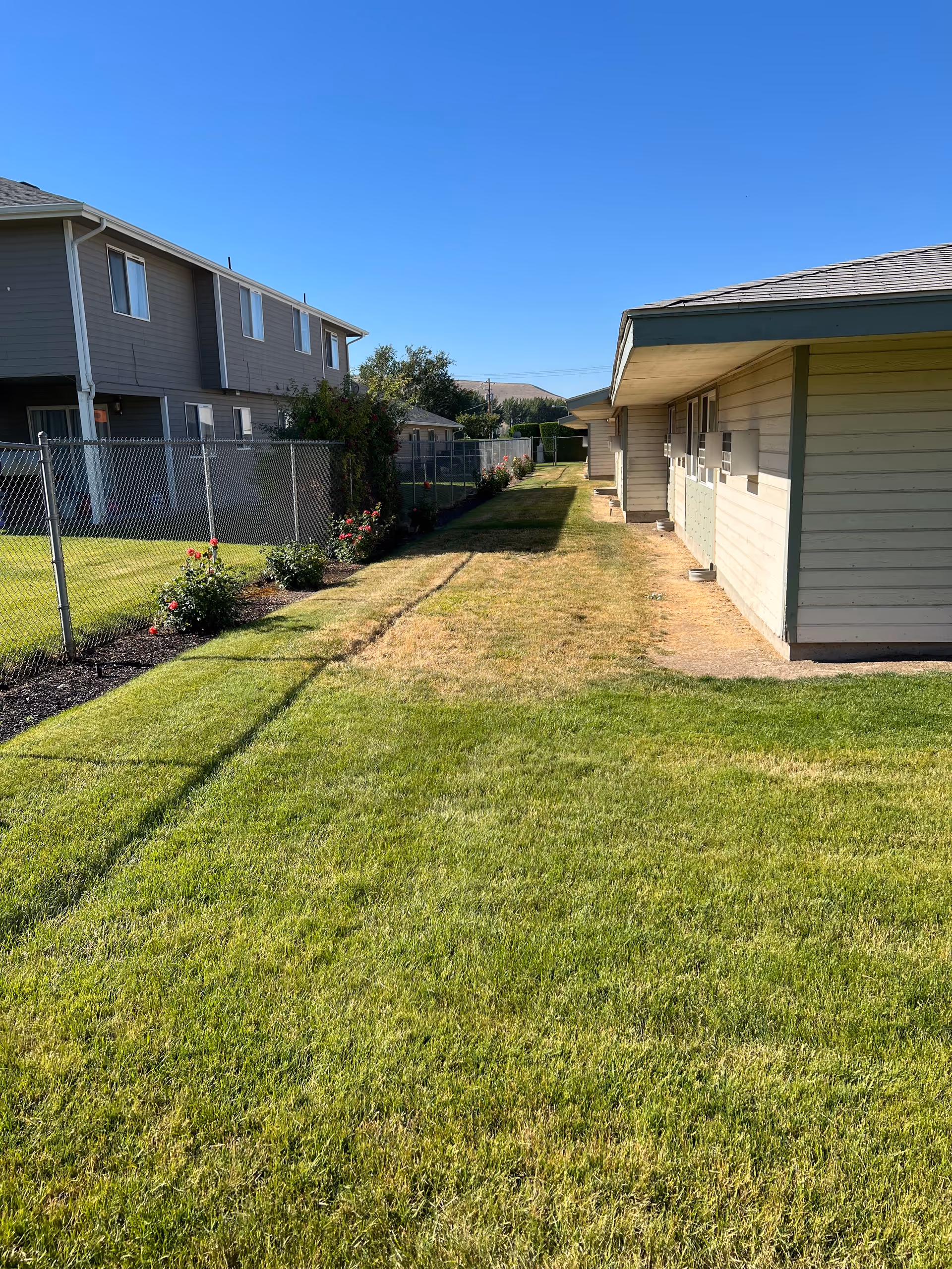 A grassy outdoor area between two buildings under a clear blue sky. One building is a two-story structure with beige siding and multiple windows, while the other is a single-story building with light-colored siding and several small windows. A chain-link fence with some flowering plants runs along the left side of the grassy area.